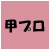 甲プロ